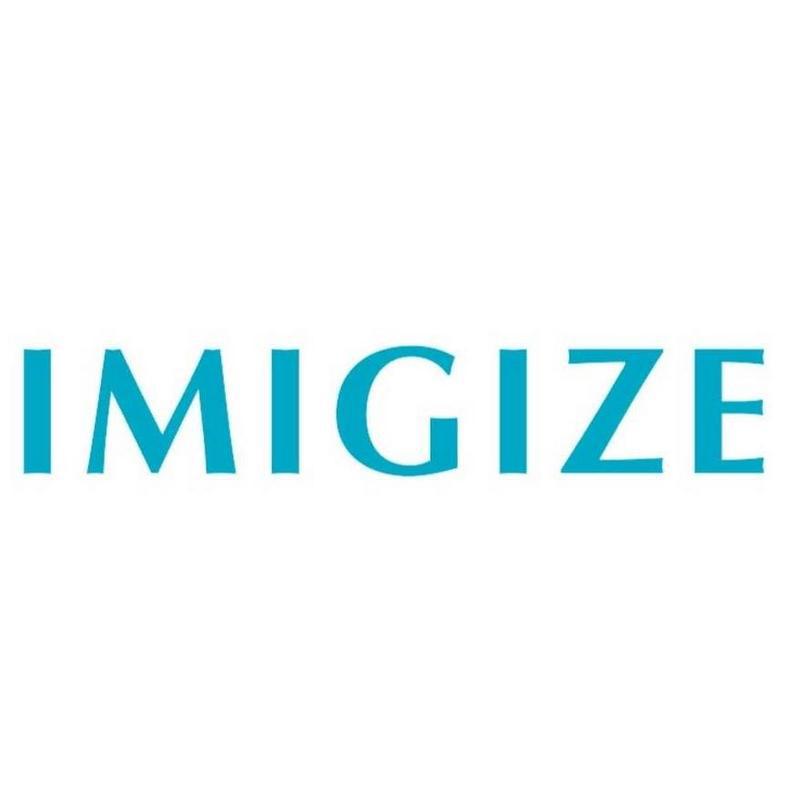 The Imigize Service Blockchain